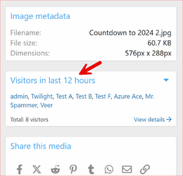 Media-Gallery-Visitors-1.0.0-Visitors-Last-X-Hours.png